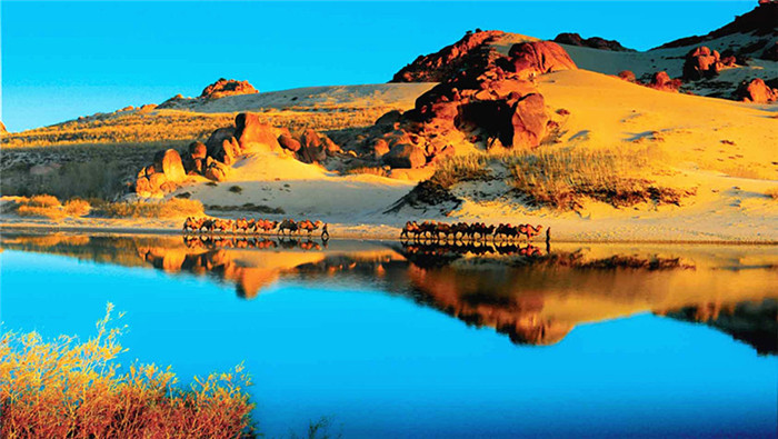 181738oosc7oucozooipzp